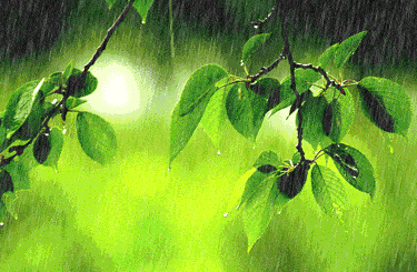 有雨如诗,有诗如雨!