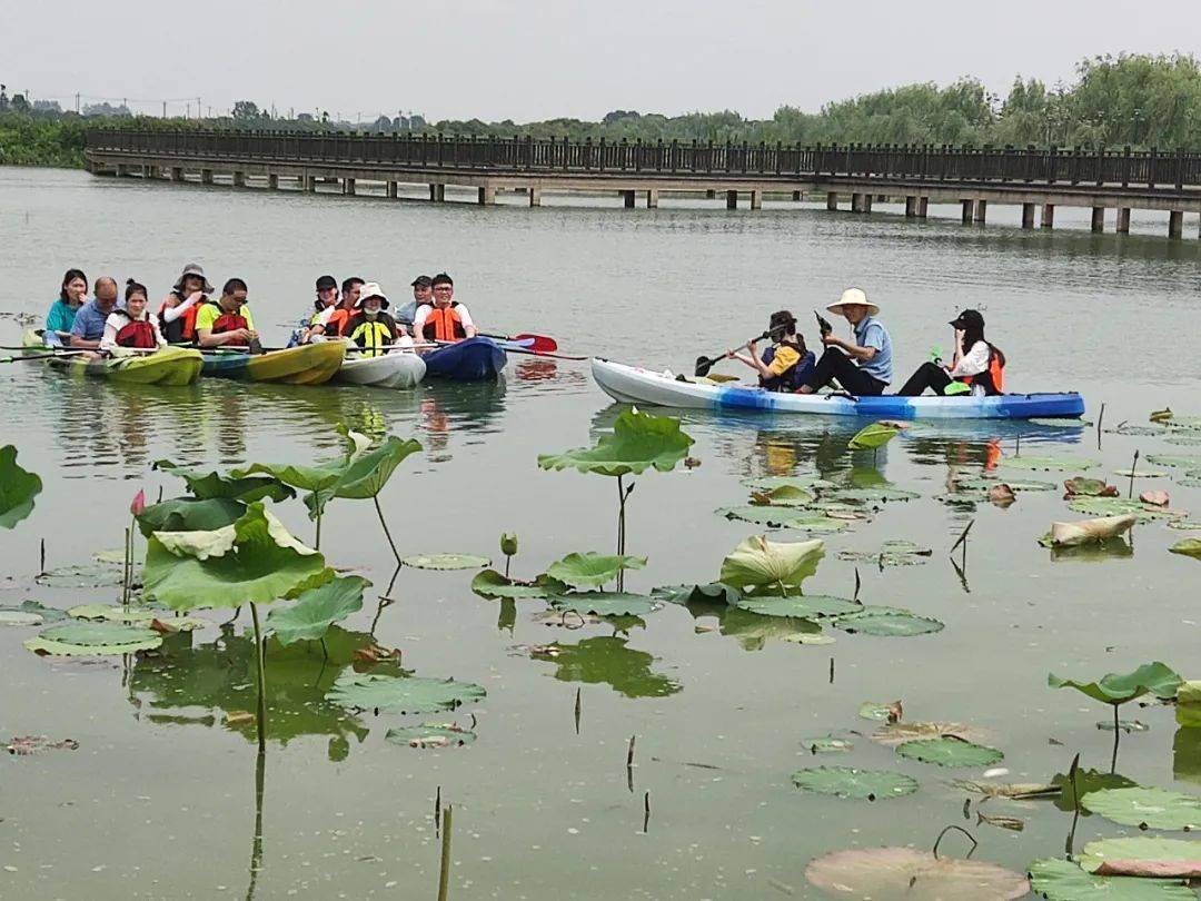 活力初夏武汉华章2022级mba喜鹊湖农庄拓展训练营