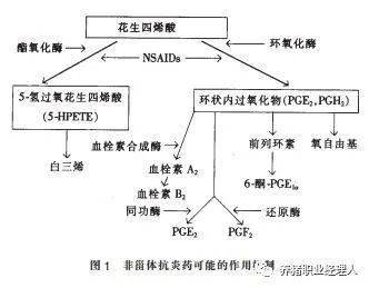 它可以生成花生四烯酸→环氧合酶→前列腺素,促凝血素→炎症反应