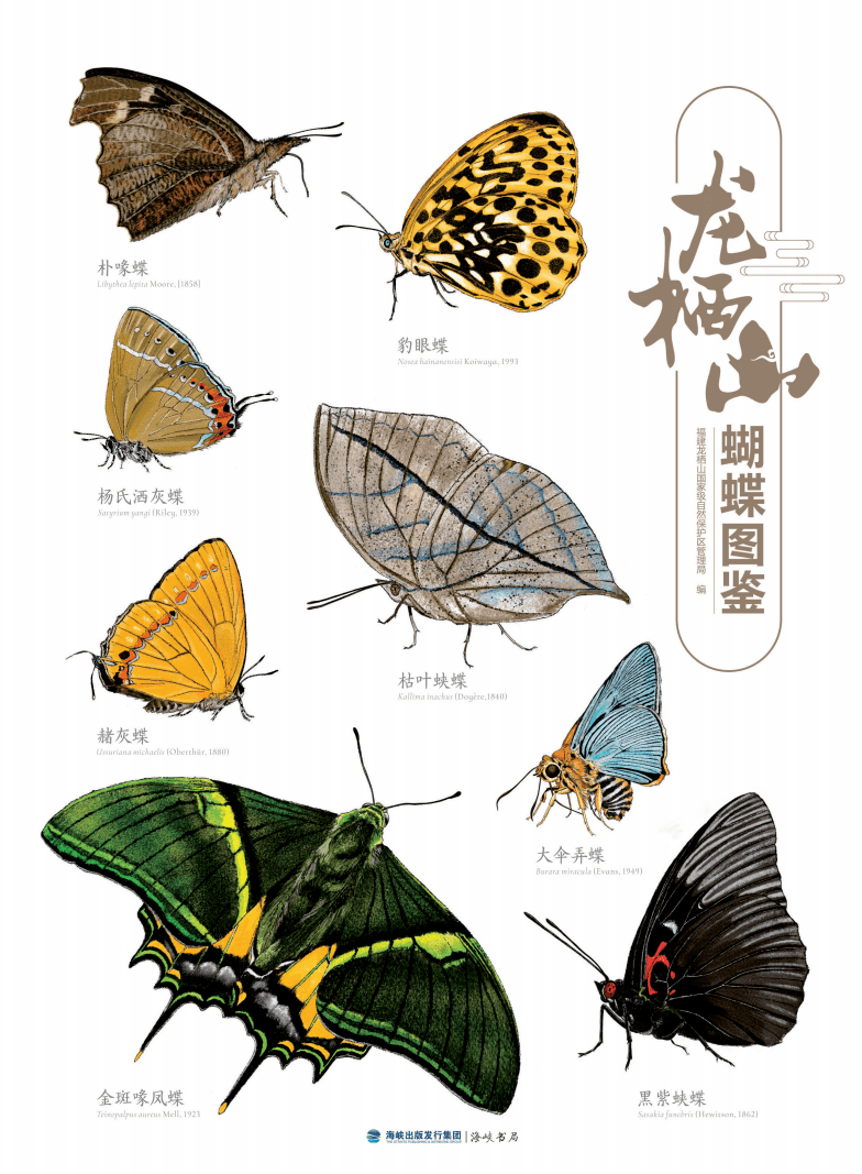 生物多样性保护三明将乐龙栖山蝴蝶图鉴出版献礼建党百年