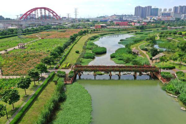 7月3日,市民在广西南宁市那考河湿地公园游玩(无人机照片).