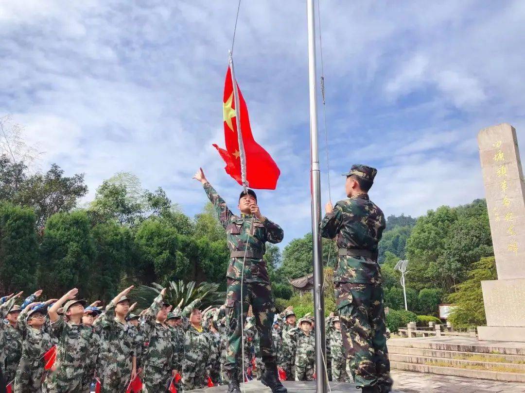 共同富裕路上的青年带头人②丨朱金武生态农业走出新路径