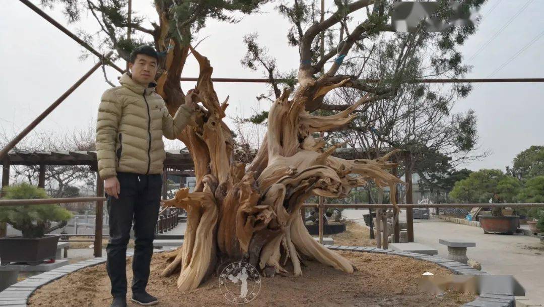 制作前后超强对比图来袭90后小伙宋攀飞带你领略古柏的舍利表现