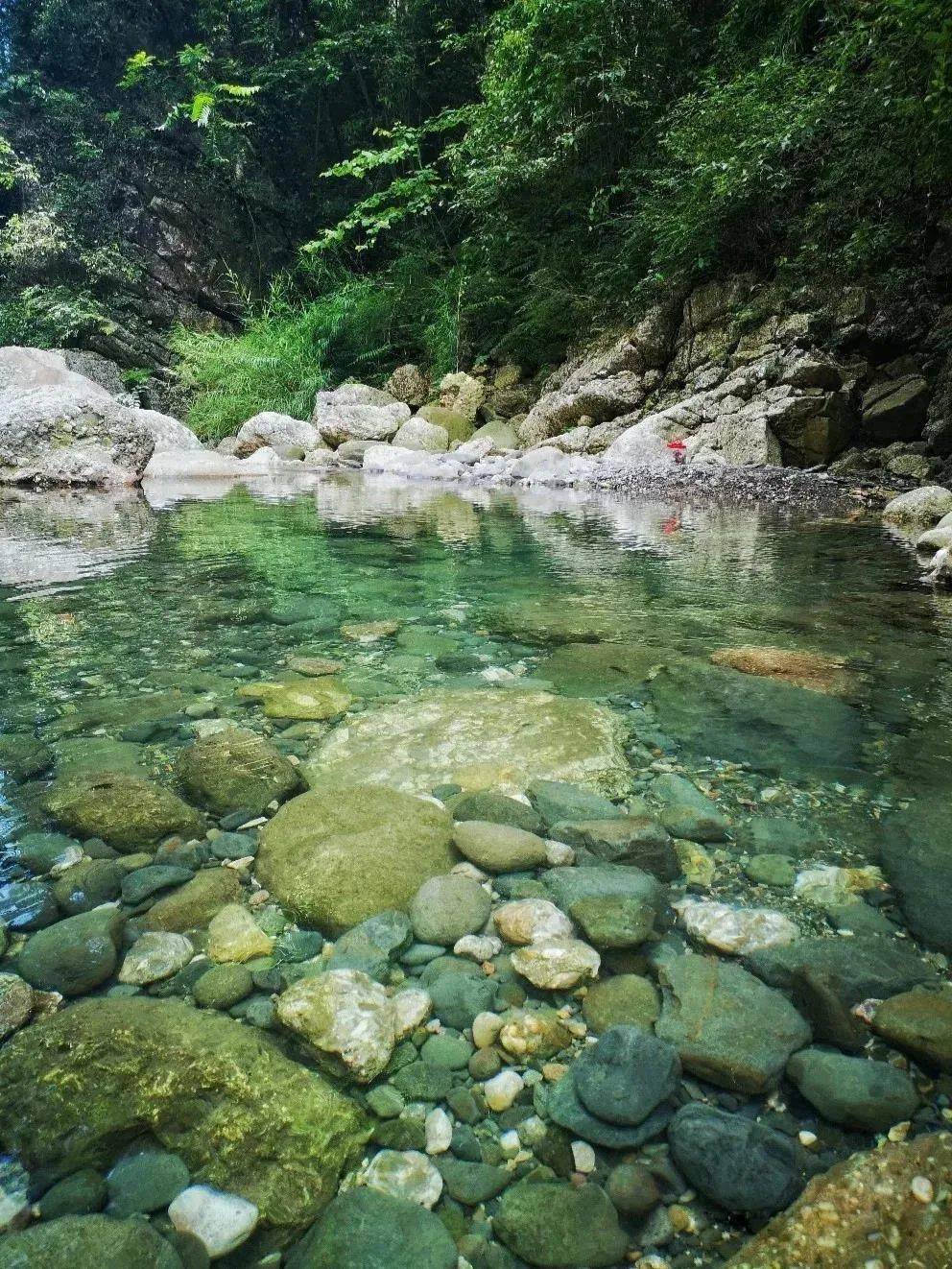 在大邑雾山乡两河口附近的萤火山寨就可以实现,目前这儿还算比较小众