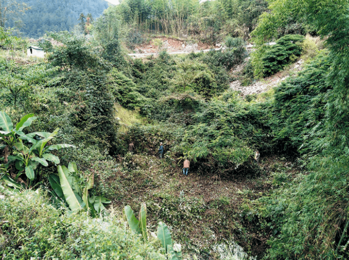 恩施市沙地乡黄广田村:"归雁经济"富山乡