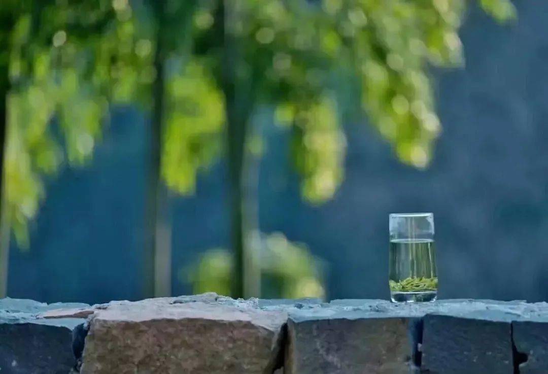 小暑:心静自然凉