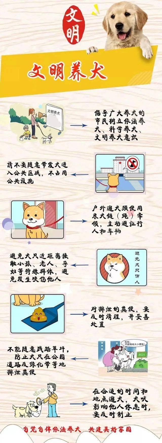 文明养犬温馨提示_城区