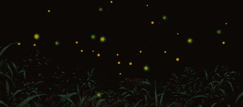 就像夜空闪烁的恒星