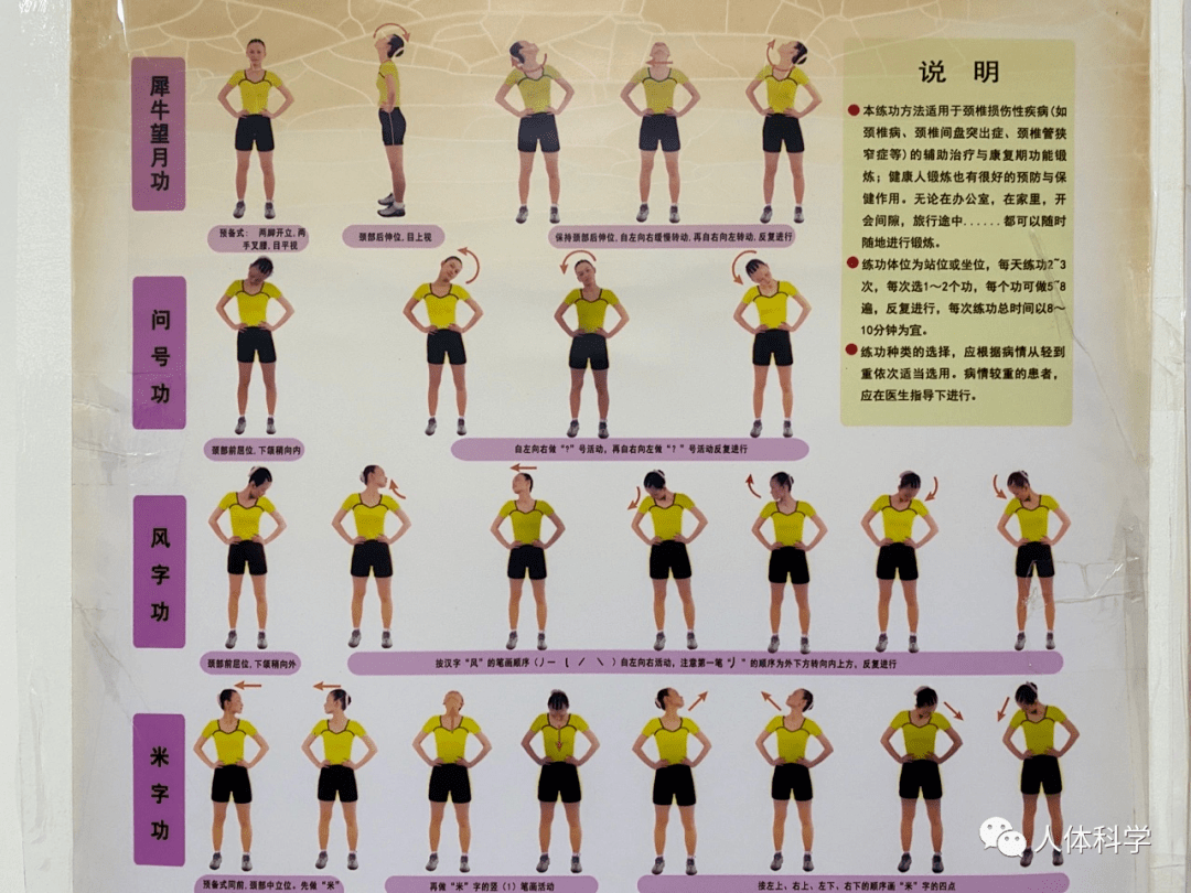 【体态管理】腰椎康复锻炼示范动作.