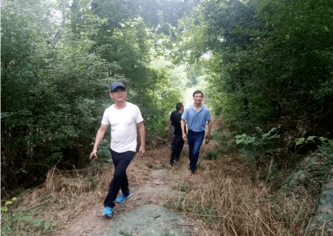 枞阳县白柳镇山河村纪行