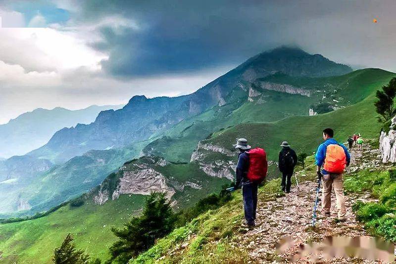 五台山驼梁风景区气候湿润,素有"高山公园","天然氧吧","天然动植物