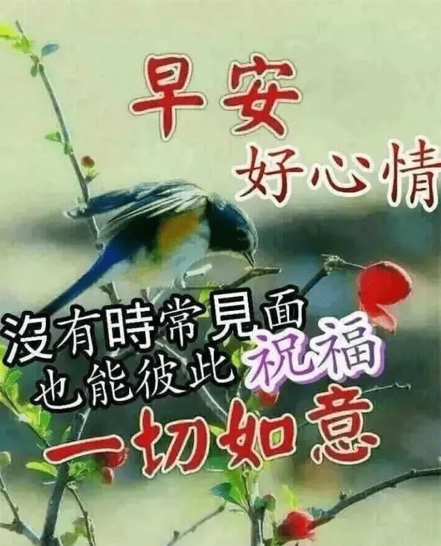 历经了风吹雨打,只盼在坎坷路上,能有一颗心相随.早安