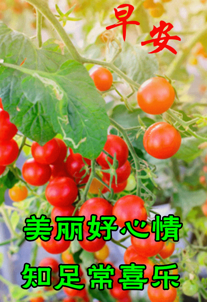 7月8日最漂亮早上好动态表情图片大全早上好动图美图大全