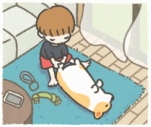 舒舒服服图源 ryu takimura (ins:1corgi_dogs)编辑整理 设计赛圈