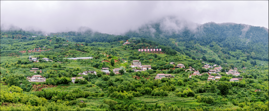 一水一路一产业米易县草场镇仙山村的乡村振兴密码