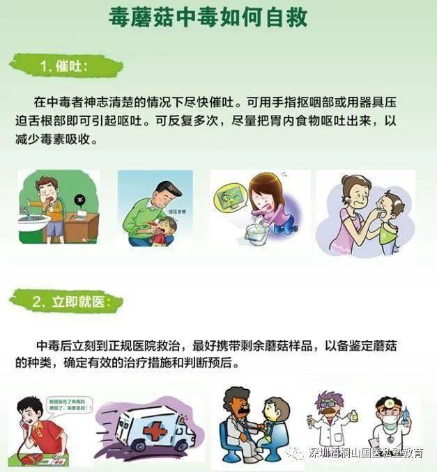 误食毒蘑菇中毒后应如何自救.图片来源:中国疾病预防控制中心