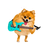 透明沙雕小动物 疯狂摆动动态表情包