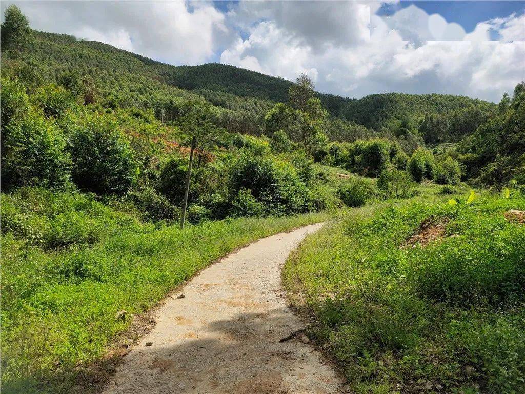 平山,大岭2块地要出让,将用作._惠东