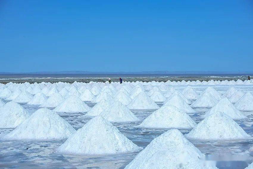 【图集】千堆"白雪"戈壁滩晒,高台盐田大丰收