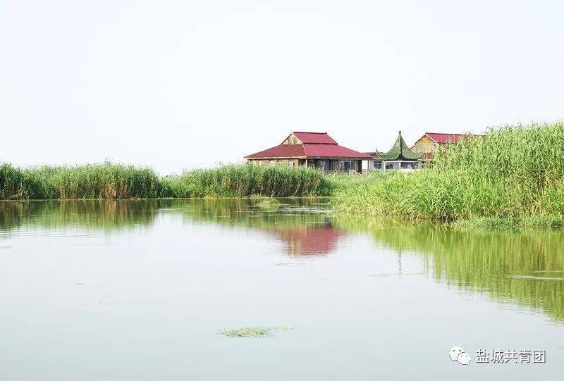 来建湖九龙口,感受最淳朴的水乡风情