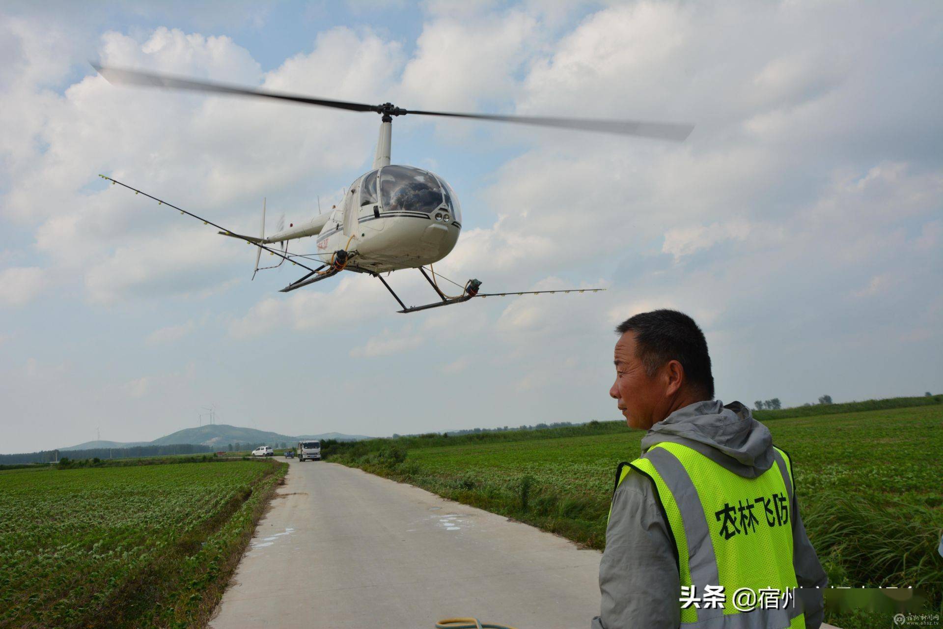 埇桥区:直升机飞防防治美国白蛾