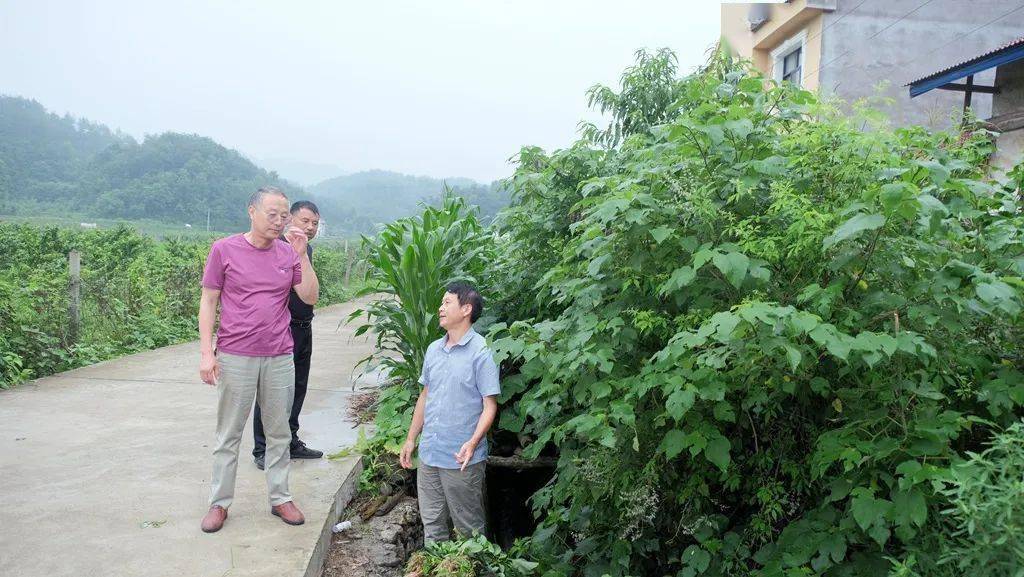 浇灌高楼四组董家畈田园,继续向下,流入高楼村三组直至鸣凤镇汪家村一