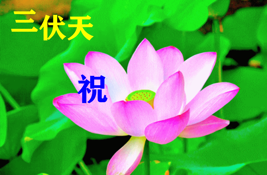 7月15日最漂亮早上好动态表情图片大全,早上好动图美图大全