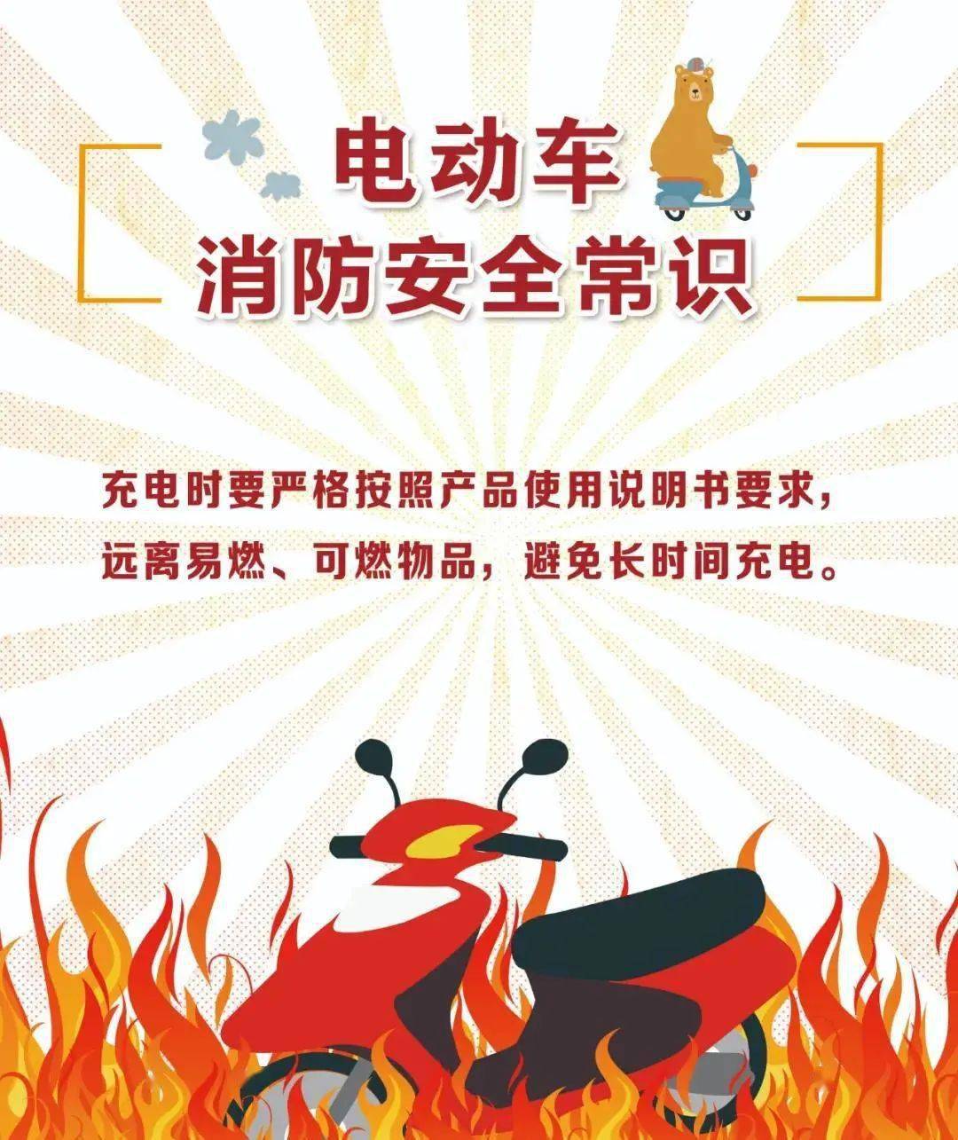 电动车火灾事故,不分国界