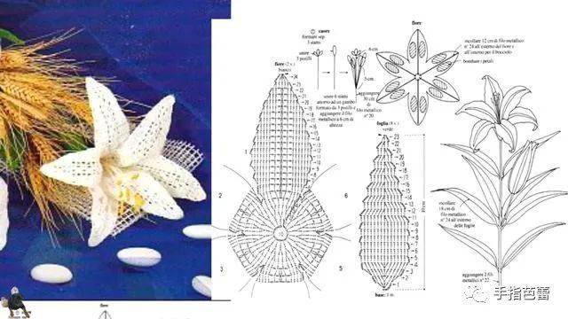 花朵叶子的钩织附图解