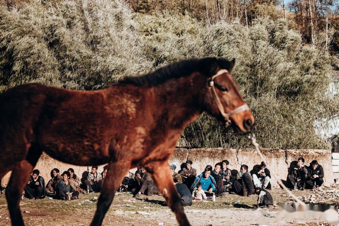 大凉山彝族新年牛牛坝赶集雅安荥经砂器西昌古城人文摄影团