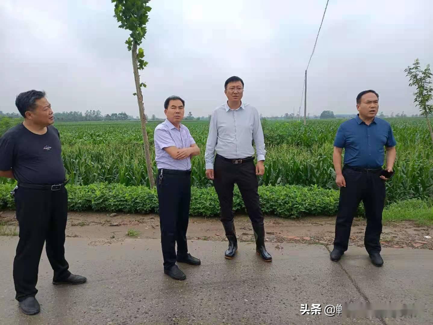 郸城:董鸿督导调研城市内涝治理和防汛工作