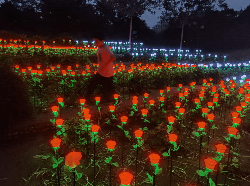 花的海洋,灯的梦幻!世界花卉大观园"夜游节"今夜试灯