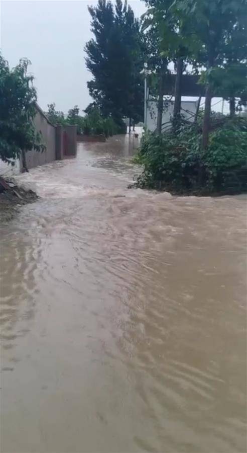 郑州中牟贾鲁河凌晨溃口淹没村庄,村民全部提前撤离