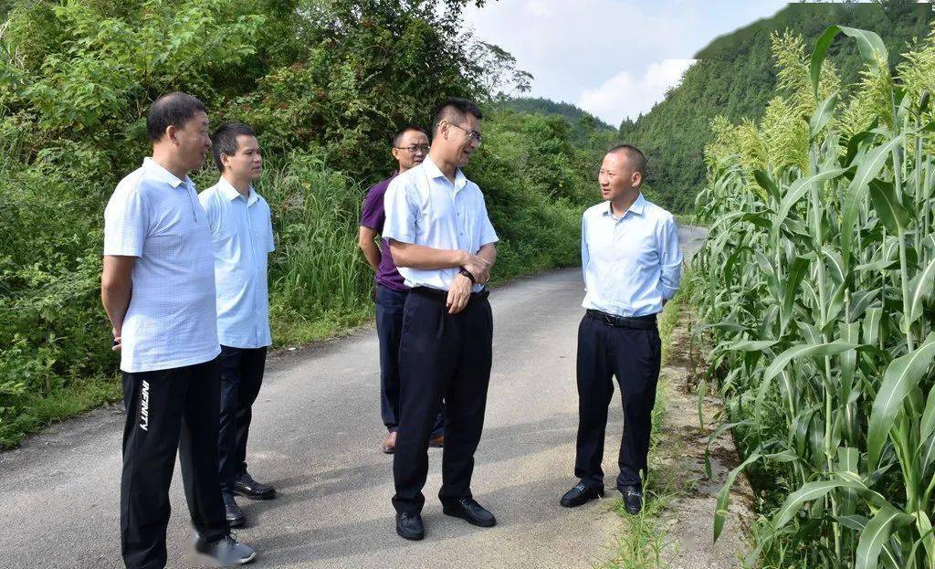 茅台集团外部董事张瑞彬赴道真调研茅台帮扶工作
