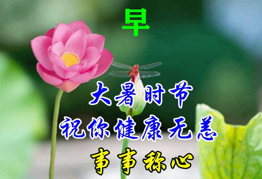 7月22日大暑最漂亮早上好动态表情图片大全,早晨好动图美图大全