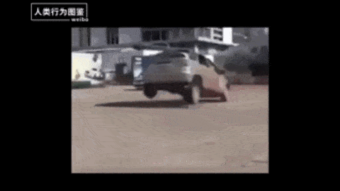驾校差生图鉴.gif