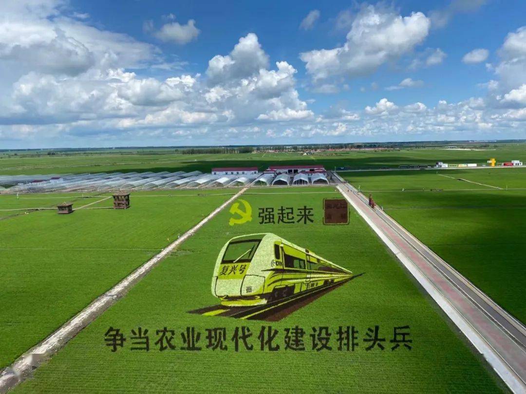 营销互动遇见三江旅游节富锦万亩水稻公园3a级