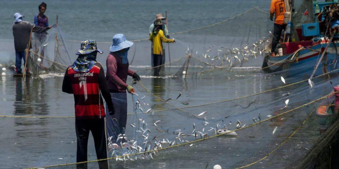 海洋月报 将渔业保护纳入气候政策中_捕捞