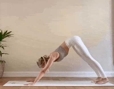 1be7d5e5dd5a4fbb8d6de690693d78c6.gif