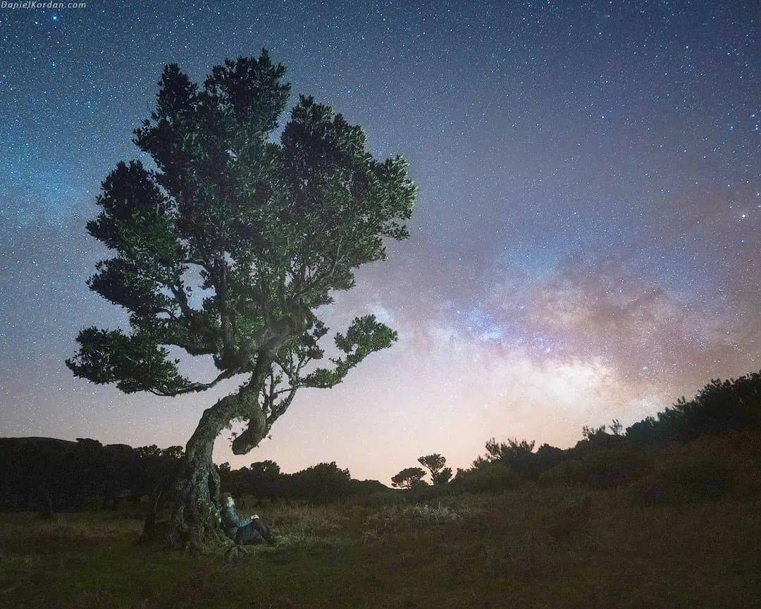 人是会走的树, 树是站立的人, 在这个世界上, 树与人一起经历风雨