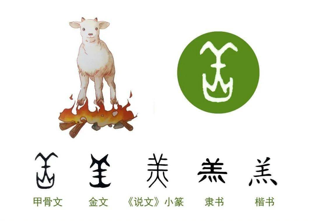 雅逸汉字学堂汉字里的动物世界羊