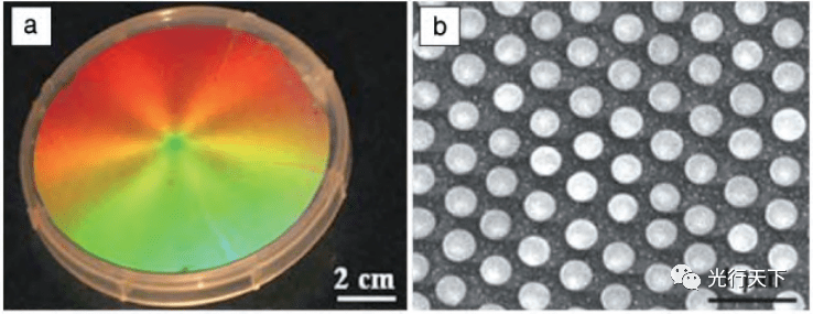 图1 a 旋涂法制备的二维光子晶体的光学照片 b)非紧密堆积的二维