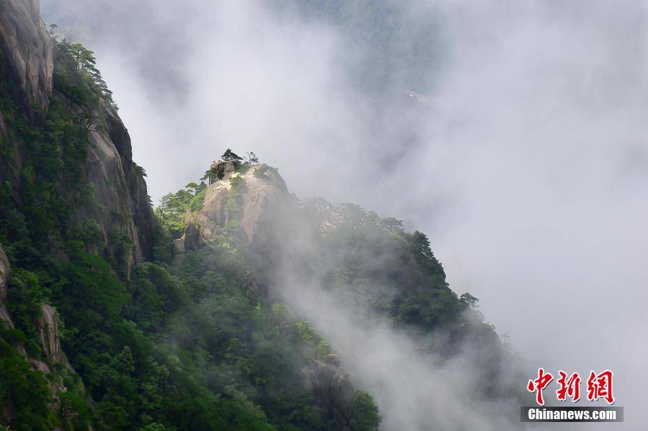 夏日黄山云雾缭绕宛如仙境