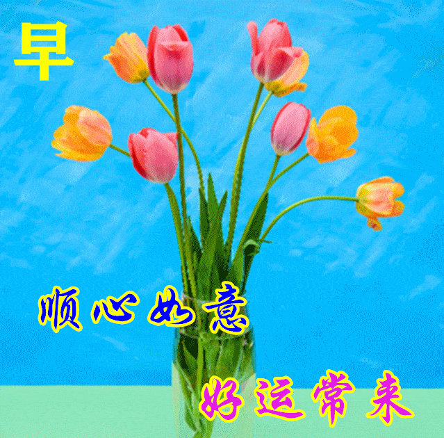 最漂亮早上好动态表情图片及动图美图大全