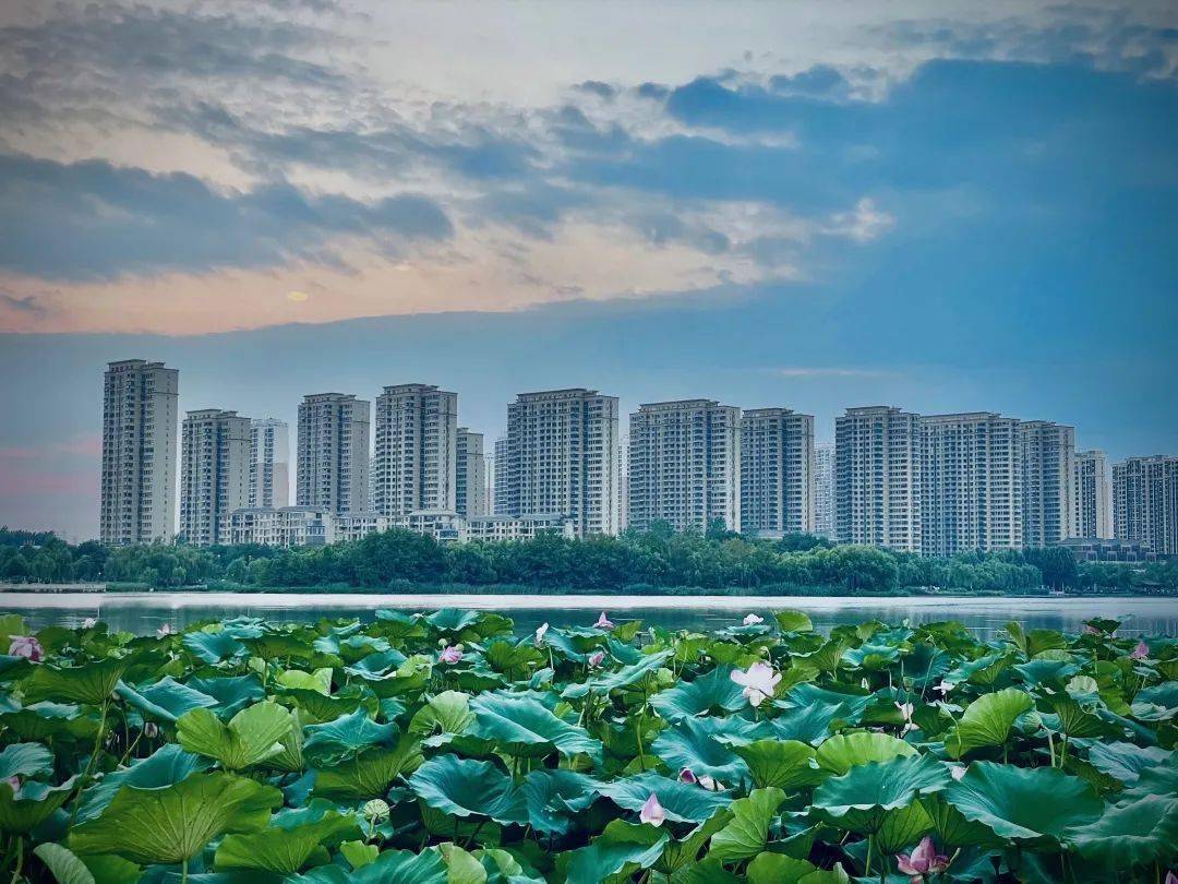 湖畔荷香              拍摄地:陶冲湖公园