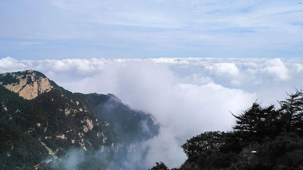 泰山云海 千古霸气 巍巍峻岭 云涌万里