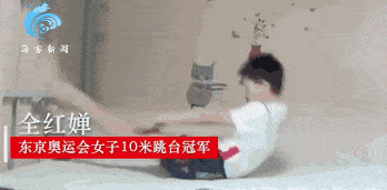 348_171gif 动态图 动图