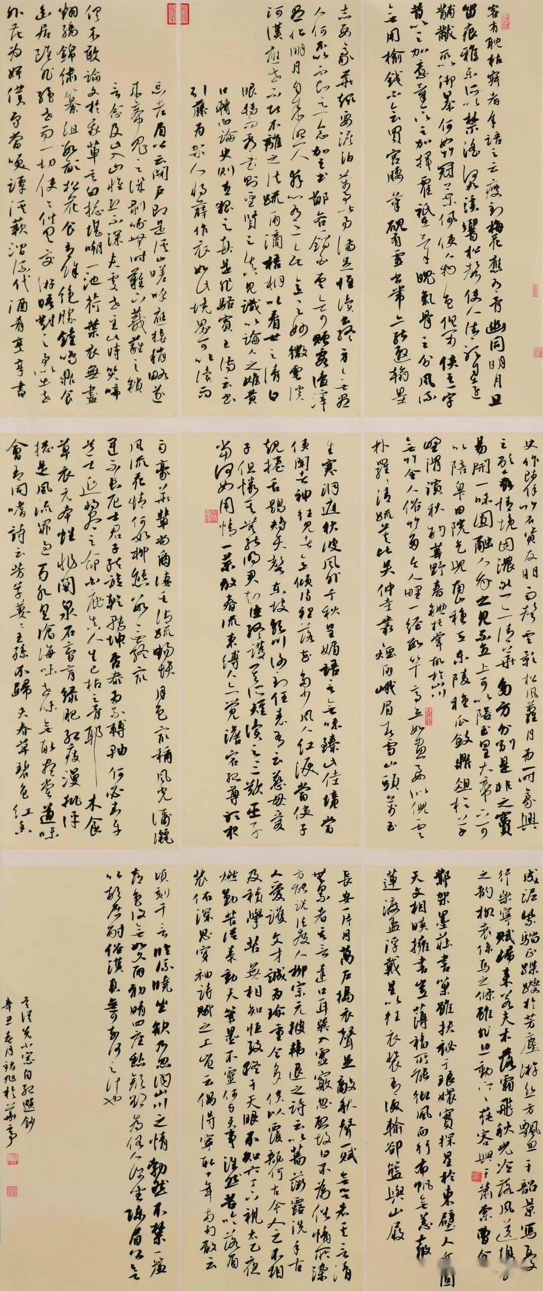 上海 褚 旭