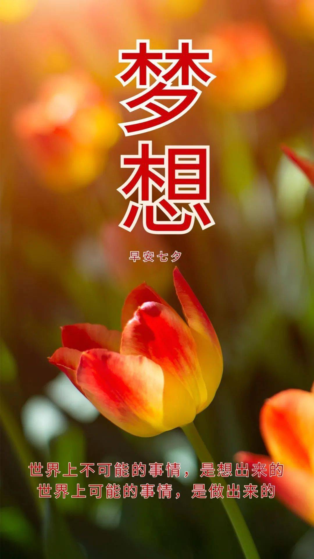 8月14日早安 | 七夕快乐