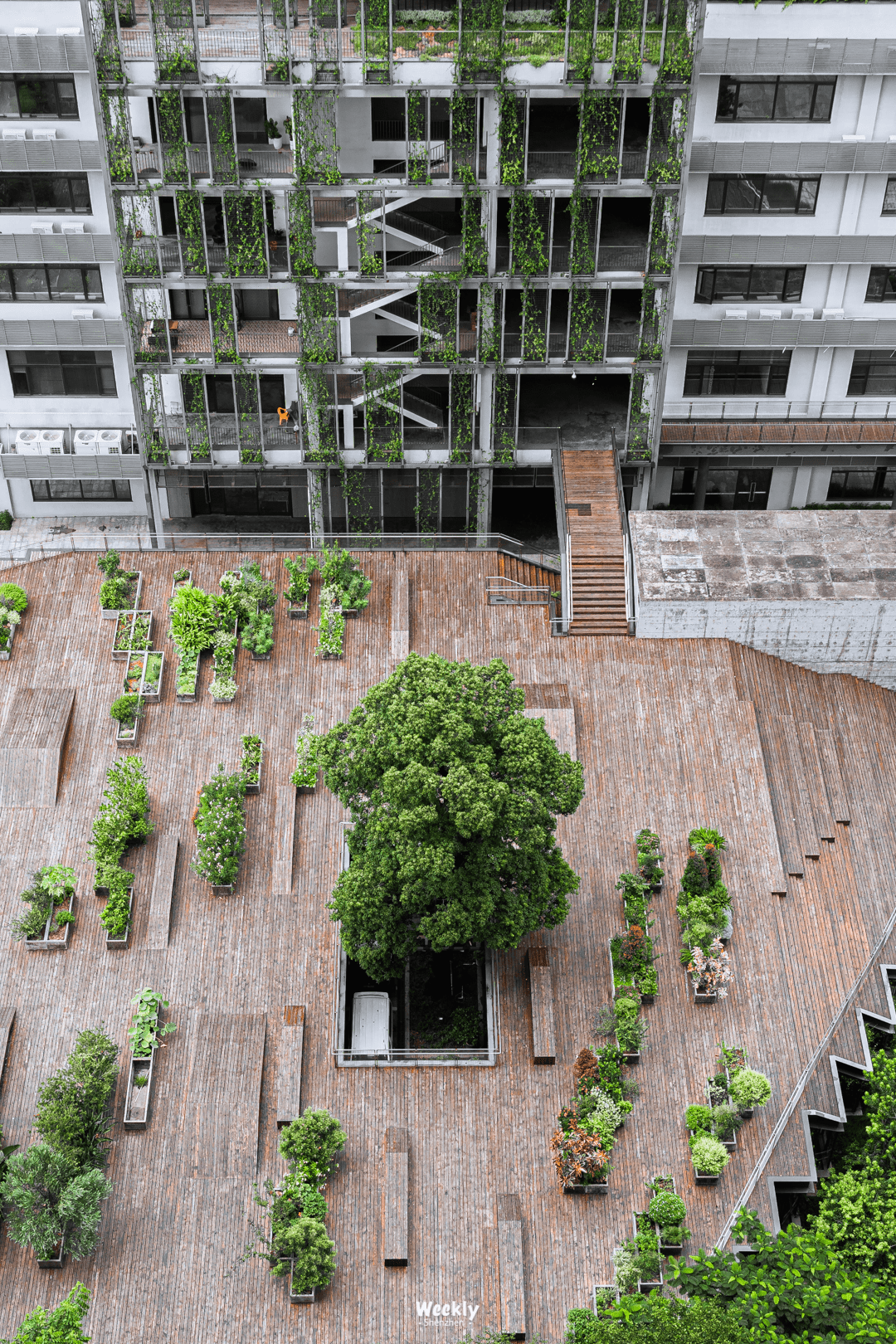 深圳最美办公室 · 160000㎡「立体空中花园」